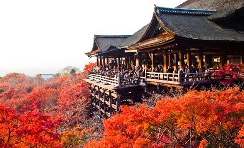 Bản tin tổng hợp Nhật Bản tuần 35 năm 2016 - du lịch vào mùa thu ở Nhật