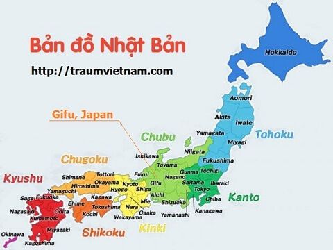Vị trí địa lý của tỉnh Gifu Nhật Bản