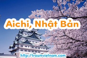 Danh sách những trường Nhật ngữ ở Aichi Nhật Bản 2018