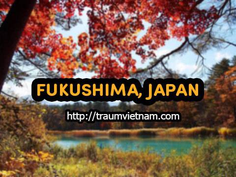 Danh sách những trường Nhật ngữ ở Fukushima Nhật Bản