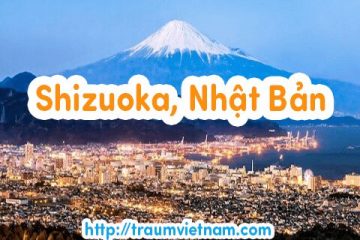 Danh sách những trường Nhật ngữ ở Shizuoka Nhật Bản 2018