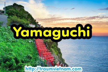 Danh sách những trường Nhật ngữ ở Yamaguchi Nhật Bản