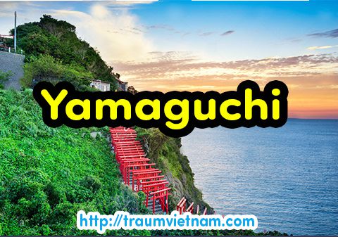Danh sách những trường Nhật ngữ ở Yamaguchi Nhật Bản