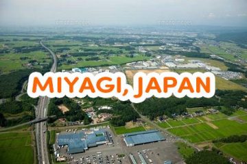 Danh sách những trường Nhật ngữ ở Miyagi Nhật Bản