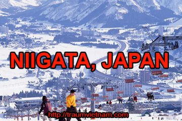 Tỉnh Niigata Nhật Bản – vựa lúa của xứ Phù Tang