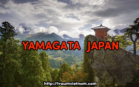 Tỉnh Yamagata Nhật Bản - vùng đất của onsen và hoa anh đào