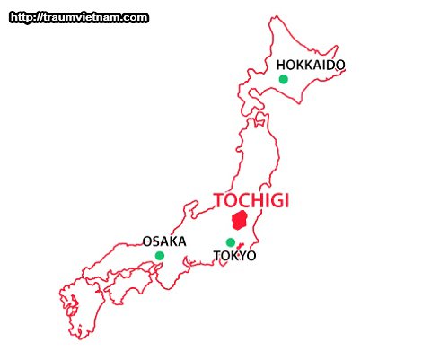 Vị trí địa lý của tỉnh Tochigi Nhật Bản