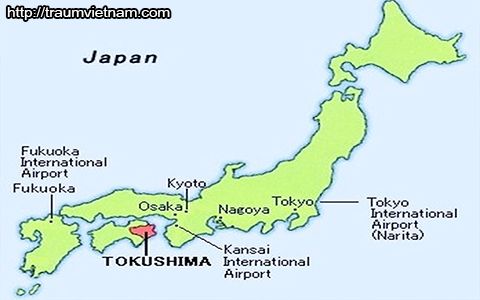 Vị trí địa lý của tỉnh Tokushima Nhật Bản