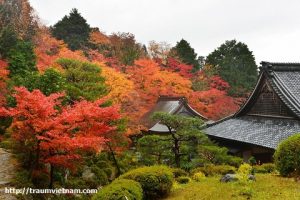 Chùa Hyakusai-ji - tỉnh Shiga Nhật Bản
