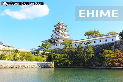Tỉnh Ehime Nhật Bản - hành trình về đất thánh Shikoku