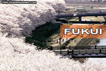 Tỉnh Fukui Nhật Bản – sống chậm, bình yên và hạnh phúc