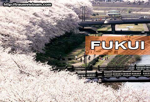 Tỉnh Fukui Nhật Bản - sống chậm, bình yên và hạnh phúc