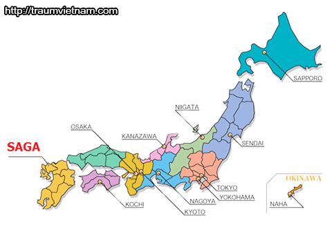Vị trí địa lý của tỉnh Saga Nhật Bản