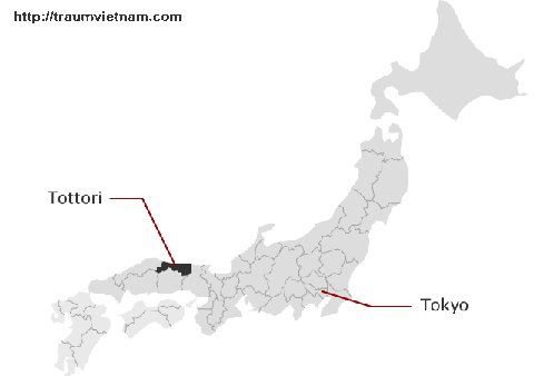 Vị trí địa lý của tỉnh Tottori Nhật Bản