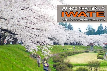 Du học ở Iwate Nhật Bản – vùng đất khó quên