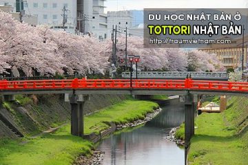 Du học ở Tottori Nhật Bản – bình yên và đáng sống